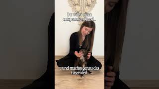 Du willst einen entspannten Hund und machst genau das Gegenteil…