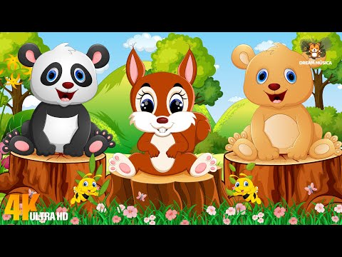 Adorable Animal Moments: Panda, Fox, Bear, Peacock, Pheasant, Toucan - Animal Sounds