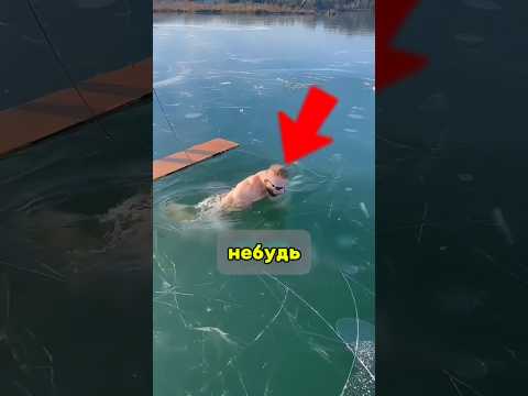 🔥 Як вижити під кригою за секунди! ❄️😳