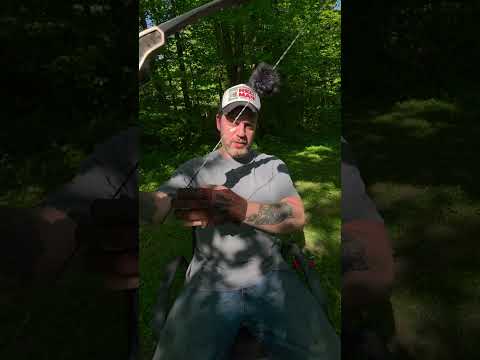 Switching to a left handed traditional bow