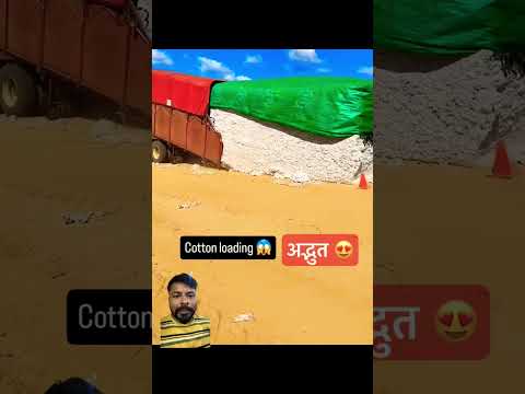 Vrindavan jaungi sakhi na laut ke aaungi ❣️🤗 #shorts