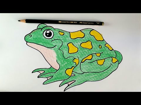 How To Draw A Frog Easy