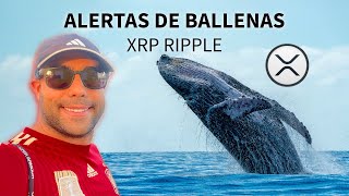 🔥 😱 BALLENAS en XRP Ripple PREOCUPA o es OPORTUNIDAD!? 🚀
