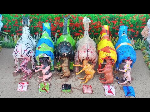 POTONG SAPI QURBANI IDUL IDHA/ SIMULASI POTONG SAPI