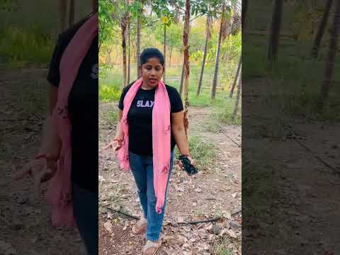 Jaadui Pani Ne Gullu Ko Kar Diya Gayab ? #shorts #trending #viral