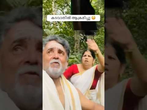 കടവാതിൽ ആക്രമിച്ചു 😳Malabar Malluz #comedy #malayalamcomedy #youtubeshorts