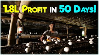 Small Farm, Big Profit: Button Mushroom Farming Earns ₹1.8 Lakh in 50 Days!
