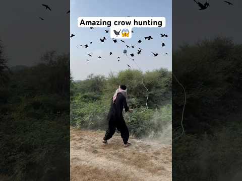 Amazing crow hunting 🐦‍⬛😱 #birdhunting #hunting #farming #shorts #viralshorts #trendingshorts