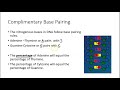DNA Replication and Protein Synthesis Insights