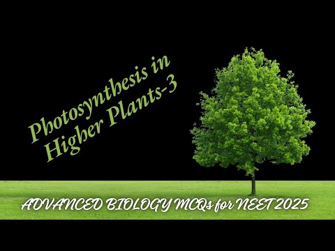 ADVANCED BIOLOGY MCQs for NEET 2025 | Photosynthesis in Higher Plants | by Shiksha House