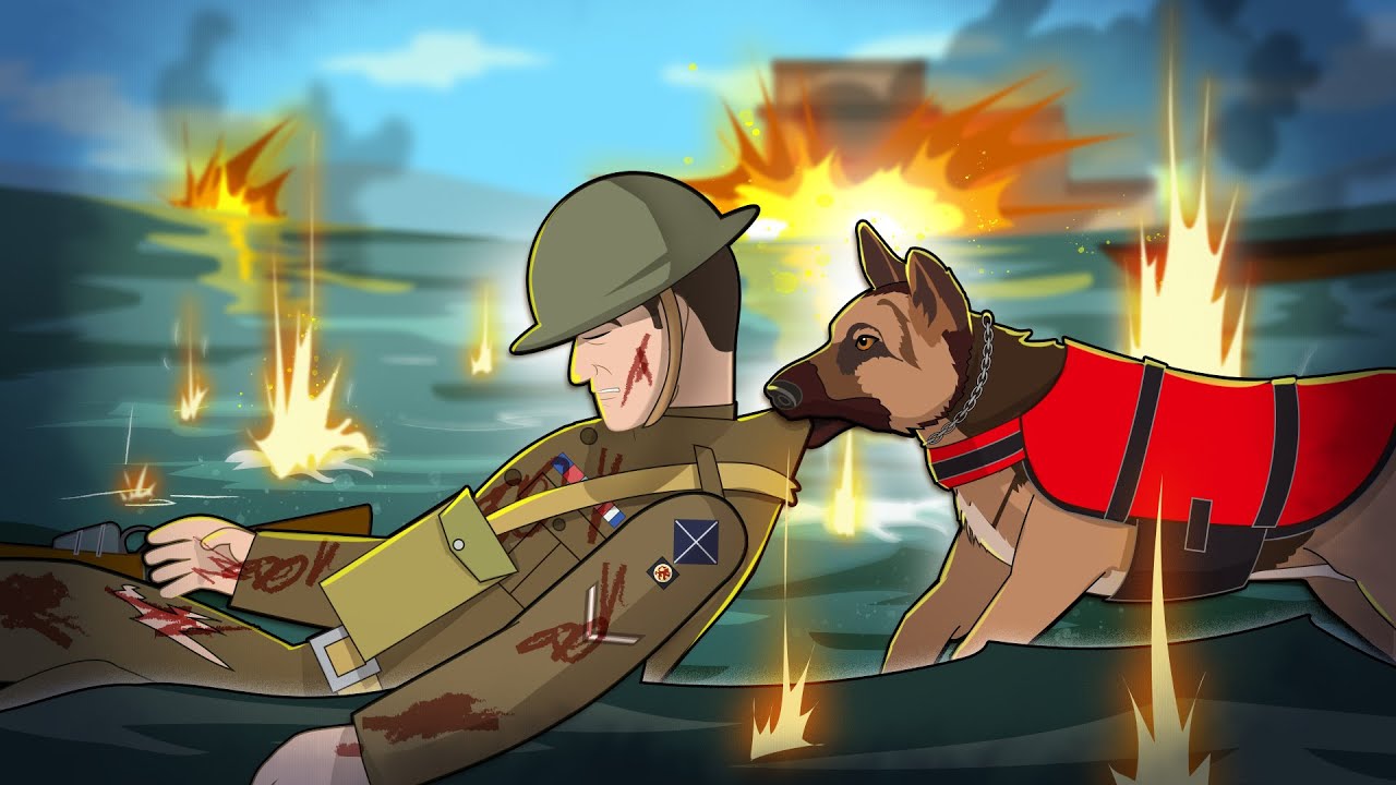 Dogs of Valor – The Hero Canines of WW2