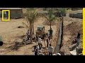 Survival Strategies and Tunnel Building