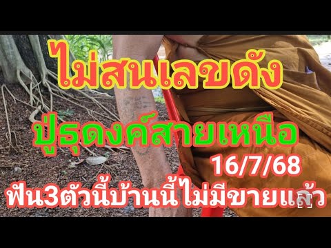 ไม่สนเลขดัง ปู่ธุดงค์สายเหนือ ฟันแล้ว 3 ตัวนี้ บ้านนี้ไม่มีขายแล้ว