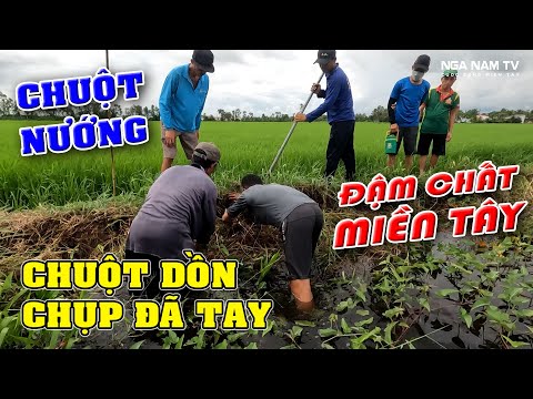 Săn bắt chuột chuột dồn chụp đã tay, chuột nướng, cá nướng lai rai đậm chất miền tây/ NGÃ NĂM TV