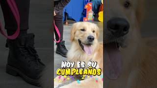 ASÍ FUE LA FIESTA DE MI PERRITO !!