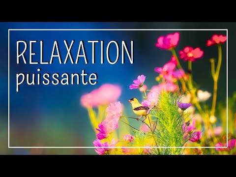 Relaxation profonde pour une journée lumineuse