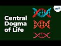 Decoding the Central Dogma of Life
