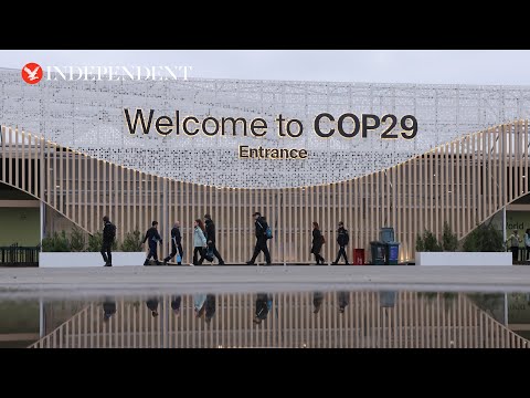 Statements at Cop29 in resumed high-level segment