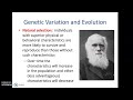 Evolutionary Mechanisms and Concepts
