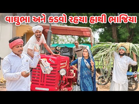 વાઘુભા અને કડવો રહયા હાથી ભાજિયા // કોમેડી વિડિયો // Gujarati Comedy Video Funni Desi Boys