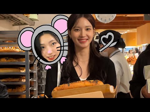 애완들쥐랑 대전에 여행 왔는데