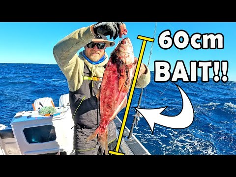 The LAST ROCK! | Dropping the biggest baits we have PAYS OFF, we fished all week for this bite!!!