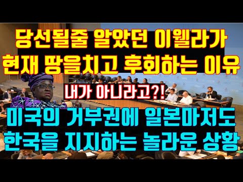 판이 완전히 뒤집혔다!! 당선될줄 알았던 이웰라가 땅을치고 후회하는 이유, 미국의 거부권에 일본마저도 한국을 지지하는 놀라운 상황