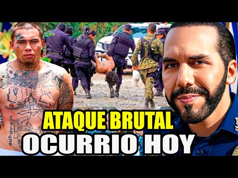 DIOS MÍO CAYÓ ALIAS "RAFIKY" P4NDILLERO DE LA MS-13😱 BUKELE PIDE PRISIÓN POR SIEMPRE 🤬