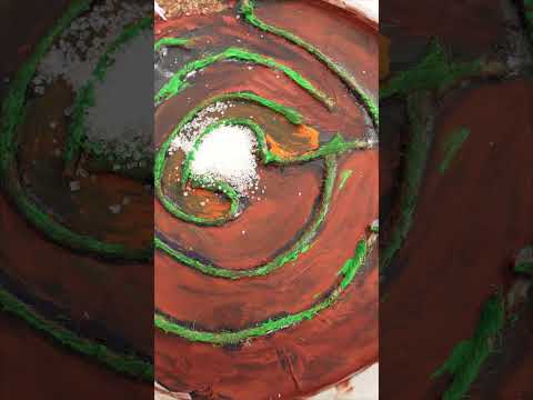  Ants Can Solve This Puzzle