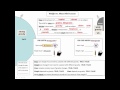 Weight and Mass in Space