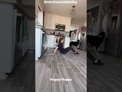 This Dog Is a True Hero Saved His Ownerโs Life โค๏ธ