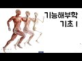 기능해부학 기초 퀴즈