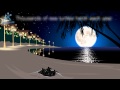 Impact of Light Pollution on Sea Turtles