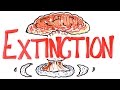 Mass Extinctions and Their Impact