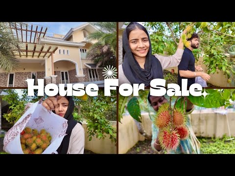 Old Villa Visiting Vlog 🥰 | Rambuttan Parikkal 😜 | House & Plot For SALE 💵 | Suhana | Basheer Bashi