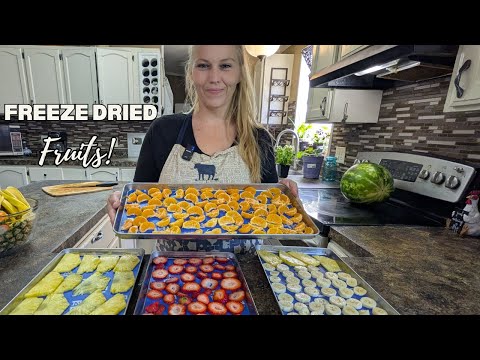 We Freeze Dried our Favorite Fruits!