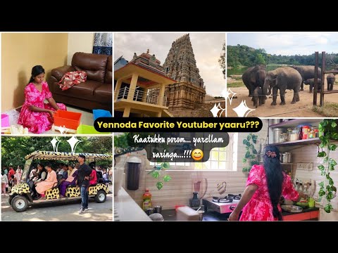 💁‍♀️எனக்கு பிடித்த YOUTUBE CHANNEL?🤔| Kandha Poha Recipe✨️| 🐯Bannerghatta zoo #vlog #lifestyle