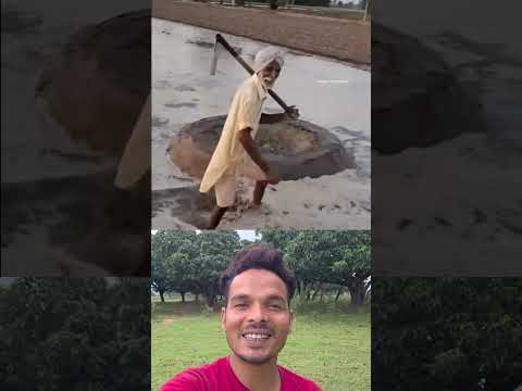 Grandfather saved bird egg 😎❤️ Sigma rule | inspirational motivational quotes #shorts #motivational