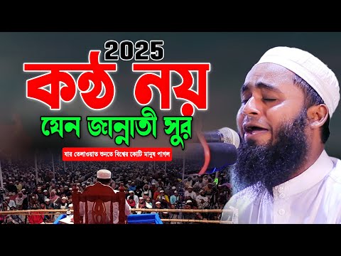 কণ্ঠের রাজা! শুনতেই কলিজা ঠান্ডা। Qari Ata Ullah Azadi Quran Tilawat 2025। Best Tilawat