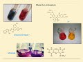 EDTA Titration Techniques and Indicators