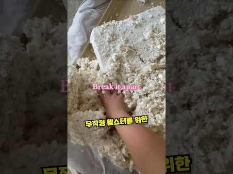 귀여운 햄스터 집 만들어주기
