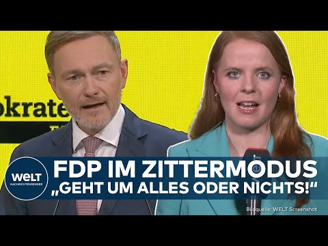 FDP-PARTEITAG: Zittern vor Bundestagswahl! Lindner will schwarz-grün verhindern