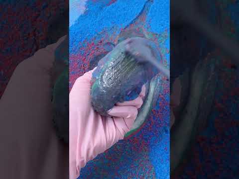 CLEANING SQUISHY ASMR🪨🪨Pebble#asmr