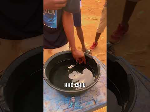 Cá giật te dai | Lạ Nhỉ
