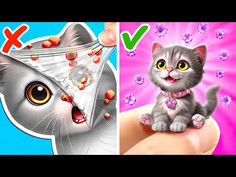 Brilliant Pet Hacks 🐾 Cute  & Fun Gadgets You Need to Try!