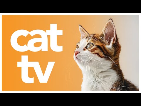 Ultimate Cat TV: Relaxing 4-Hour Nature Video for Happy Cats and Enrichment!  🐾🐱