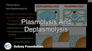 Plasmolysis And Deplasmolysis