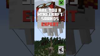 CAN YOU GUESS THE MINECRAFT SOUNDS?