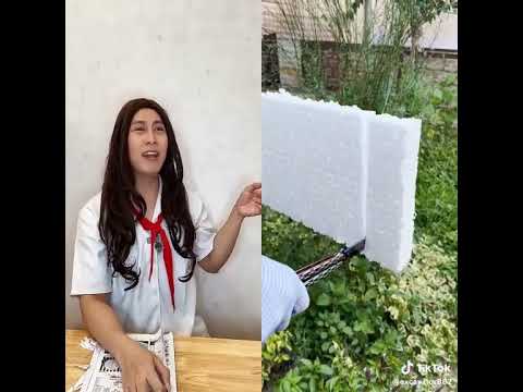 #emcobanglongvequemecunganh