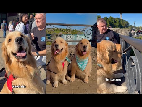 Sterling And Colin Go To Niagara Falls